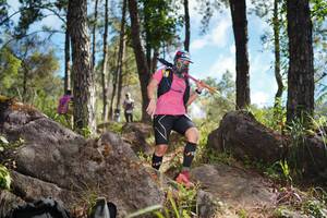 BIB: 
                            <button type="button" onclick="openModal(18943661)" class="btn btn-primary btn-sm float-right btn-popup" data-toggle="modal" data-target=".modal-high-quality">
                        <i class="fas fa-shopping-cart"></i> Add to Cart
                    </button>
                                            <button type="button" onclick="isThisMe(18943661, true)" class="btn btn-success btn-sm float-right btn-popup btn-isme hidden" data-toggle="tooltip" data-placement="bottom" title="นี่คือรูปของคุณใช่ไหม คลิกที่นี่เพื่อเอาเข้าอัลบั้ม">
                        <i class="fas fa-plus"></i> Add to album
                    </button>
                    <button type="button" onclick="isThisMe(18943661, false)" class="btn btn-warning btn-sm float-right btn-popup btn-isnotme hidden">
                        <i class="fas fa-ban"></i> Remove from album
                    </button>